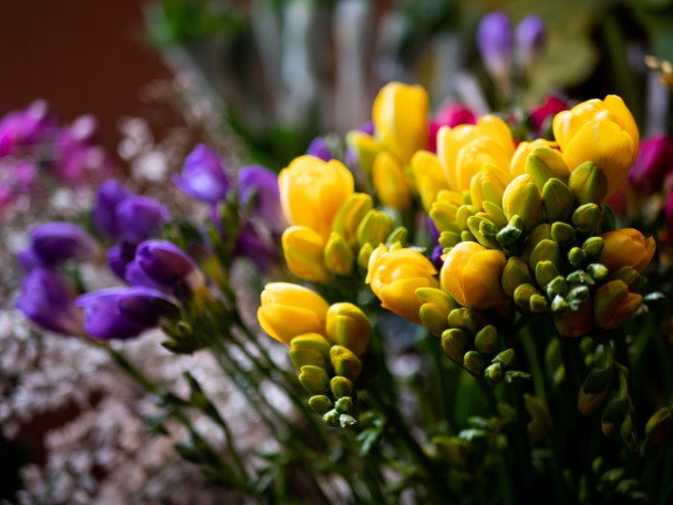 flowers and zodiac signs