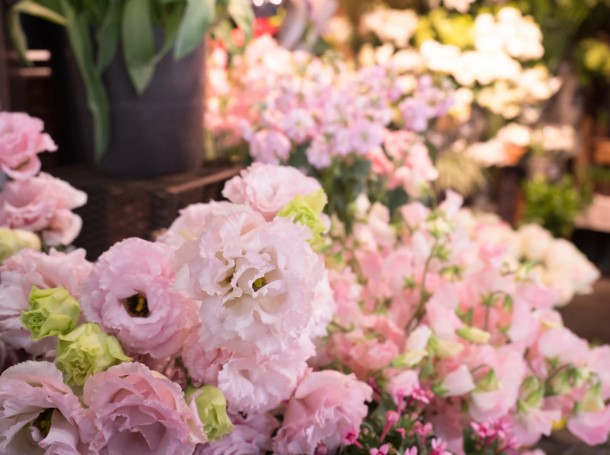 zodiac flower signs and meanings